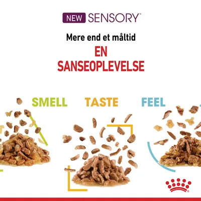 NEW SENSORY. Mere end et måltid EN SANSEOPLEVELSE. SMELL, TASTE, FEEL. Tre portioner vådfoder med tekst og pile, Royal Canin krone nederst.
