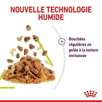 Nouvelle technologie humide, bouchées régulières en gelée à la texture onctueuse, visuel de morceaux de nourriture humide pour animaux.