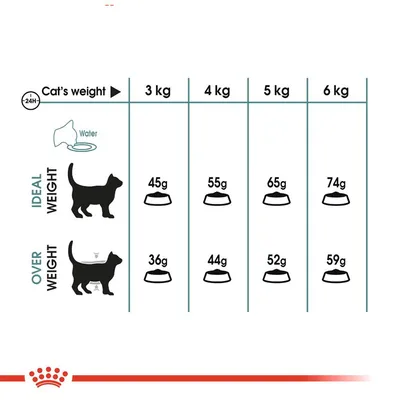 Fodringsvejledning for katte: ved idealvægt 3–6 kg gives 45–74 g dagligt, ved overvægt 36–59 g. Viser skema med vægt og fodermængde i gram pr. dag.