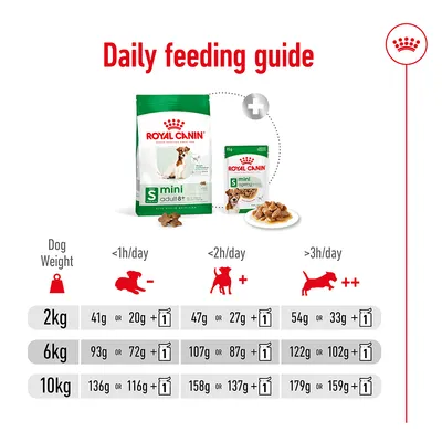 Οδηγίες διατροφής Royal Canin mini adult 8+: για σκύλους 2, 6 και 10 κιλών, ποσότητες ξηράς ή υγρής τροφής ανάλογα με το βάρος και τη διάρκεια δραστηριότητας (<1h, <2h, >3h/ημέρα).