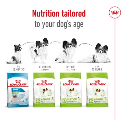 Feeding guide showing different Royal Canin X-Small dog food products for life stages: puppy (2-10 months), adult (10 months-8 years), adult 8+ (8-12 years), ageing 12+ (after 12 years).