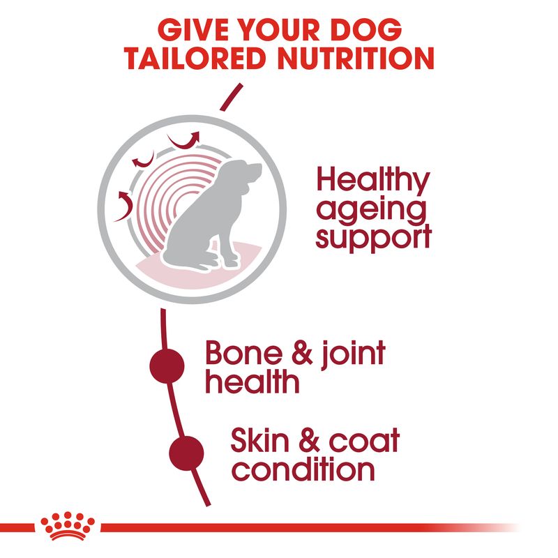 Royal Canin Medium Ageing 10+