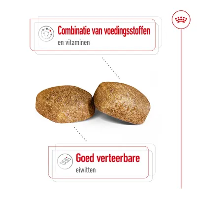 Twee brokken met tekst: 'Combinatie van voedingsstoffen en vitaminen' en 'Goed verteerbare eiwitten'.