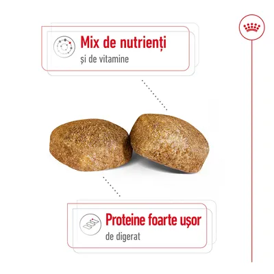 Două crochete cu text: Mix de nutrienți și de vitamine. Proteine foarte ușor de digerat.