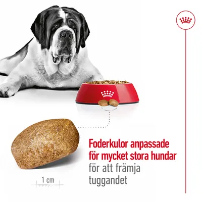 Foderkulor anpassade för mycket stora hundar, främjar tuggandet. Bild på stor hund, röd matskål med foder och närbild av foderkula, cirka 1 cm enligt skala.