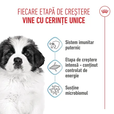 Grafic cu trei puncte: sistem imunitar puternic, conținut controlat de energie în faza de creștere, susținere a microbiomului. Câine ilustrat. Grafic cu trei puncte: sistem imunitar puternic, conținut controlat de energie în faza de creștere, susținere a microbiomului. Câine ilustrat.