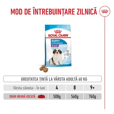 Tabel de hrănire pentru Royal Canin Puppy Giant: Pentru o greutate finală de 60 kg, cantitatea de hrană uscată în funcție de vârstă (luni): 4 luni 508 g, 8 luni 560 g, de la 9 luni 760 g. Tabel de hrănire pentru Royal Canin Puppy Giant: Pentru o greutate finală de 60 kg, cantitatea de hrană uscată în funcție de vârstă (luni): 4 luni 508 g, 8 luni 560 g, de la 9 luni 760 g.