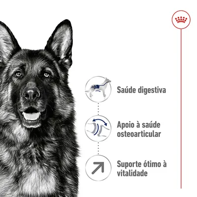 Cão pastor alemão ao lado de ícones e texto: Saúde digestiva, Apoio à saúde osteoarticular, Suporte ótimo à vitalidade. Logótipo Royal Canin visível no canto superior direito.
