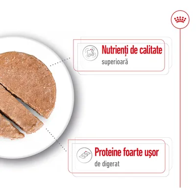 Hrană umedă pe farfurie, cu text: 'Nutrienți de calitate superioară' și 'Proteine foarte ușor de digerat'. Simboluri asociate fiecărui beneficiu. Brandul nu este menționat vizibil.