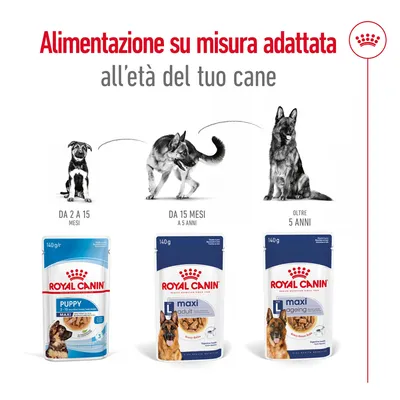 Royal Canin Puppy 2–15 mesi, Maxi Adult 15 mesi–5 anni, Maxi Ageing oltre 5 anni; alimentazione su misura adattata all’età del cane. Immagini di cani e confezioni visibili.