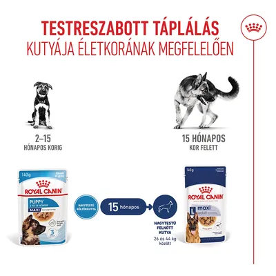 Royal Canin Maxi Puppy szószban