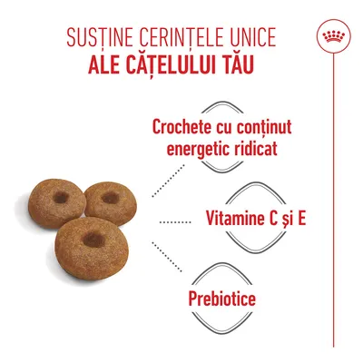 Crochete cu un conținut ridicat de energie, vitaminele C și E, precum și prebiotice sunt incluse în produs. Imaginea prezintă trei crochete. Crochete cu un conținut ridicat de energie, vitaminele C și E, precum și prebiotice sunt incluse în produs. Imaginea prezintă trei crochete.