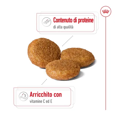Tre crocchette con testo: Contenuto di proteine di alta qualità. Arricchito con vitamine C ed E.