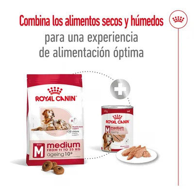 Royal Canin medium ageing 10+ para perros de 11 a 25 kg en formato seco y húmedo. Texto: Combina los alimentos secos y húmedos para una experiencia de alimentación óptima.