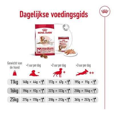 Royal Canin Medium Ageing 10+ Hondenvoer