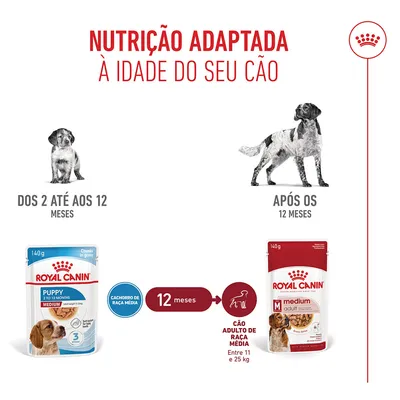 Royal Canin Medium Puppy em molho