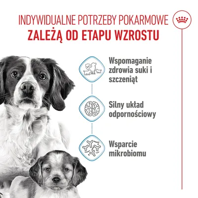 Royal Canin Medium Starter Mother & Babydog Royal Canin Medium Starter Mother & Babydog