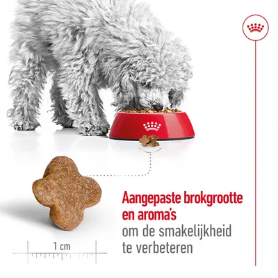 Hond eet uit rode voerbak met brokjes. Vergrootte brok van 1 cm zichtbaar. Tekst: Aangepaste brokgrootte en aroma’s om de smakelijkheid te verbeteren.