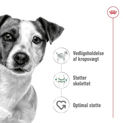 Tre ikoner med tekst: Vedligeholdelse af kropsvægt, Støtter skelettet, Optimal støtte. Royal Canin krone øverst til højre.