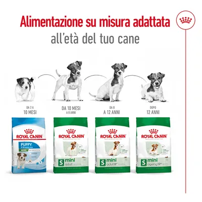 Royal Canin Puppy 2–10 mesi, Mini Adult 10 mesi–8 anni, Mini Adult 8+ da 8 a 12 anni, Mini Ageing 12+ dopo 12 anni. Alimentazione su misura adattata all’età del cane.