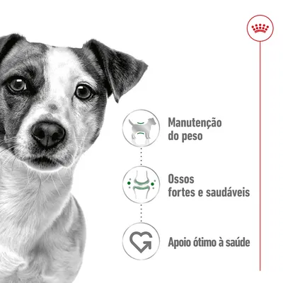 Manutenção do peso, ossos fortes e saudáveis, apoio ótimo à saúde. Texto apresentado ao lado de ícones ilustrativos.