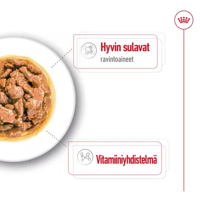 Koiran märkäruoka lautasella. Tekstit: Hyvin sulavat ravintoaineet, Vitamiininyhdistelmä.