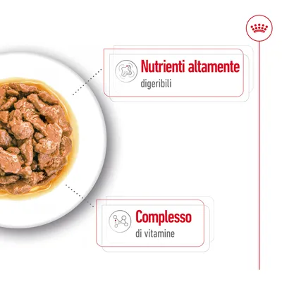 Nutrienti altamente digeribili, complesso di vitamine. Testo visibile accanto a un piatto di bocconcini in salsa.