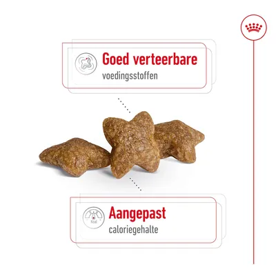 Stervormige brokjes met tekst: Goed verteerbare voedingsstoffen, Aangepast caloriegehalte.
