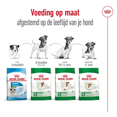 Royal Canin hondenvoer afgestemd op leeftijd: Puppy 2–10 maanden, Mini Adult tot 8 jaar, Mini Adult 8+ tot 12 jaar, Mini Ageing 12+ ouder dan 12 jaar. Vier verpakkingen zichtbaar.