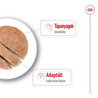 Tápanyagok keveréke, Adaptált kalóriatartalom – szöveg a képen. Félbevágott barna pástétom fehér tányéron.