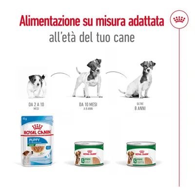 Alimentazione su misura Royal Canin per cani: Puppy da 2 a 10 mesi, Mini Adult da 10 mesi a 8 anni, Mini Ageing oltre 8 anni. Immagini di confezioni e fasi di crescita del cane.