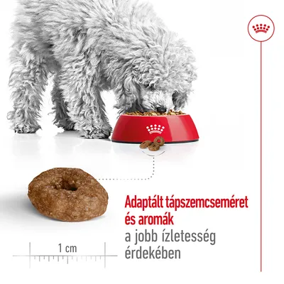 Fehér kutya piros tálból eszik, mellette táp szemcse 1 cm mérettel. Szöveg: Adaptált tápszemcseméret és aromák a jobb ízletesség érdekében.
