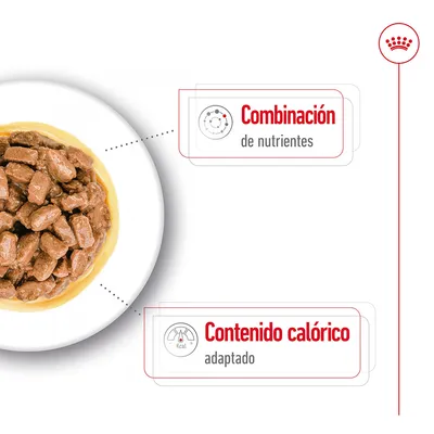 Comida húmeda en salsa con texto: 'Combinación de nutrientes' y 'Contenido calórico adaptado'.