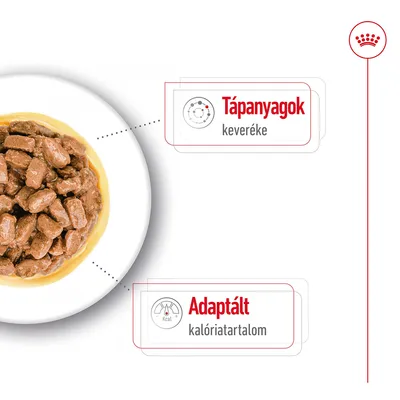 Tápanyagok keveréke, adaptált kalóriatartalom feliratok láthatók egy tál nedves állateledel mellett.
