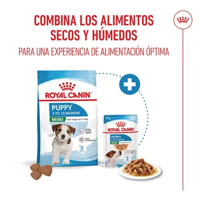 Royal Canin Mini Puppy en salsa Royal Canin Mini Puppy en salsa