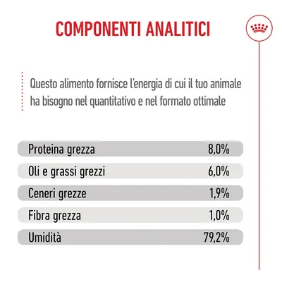 Royal Canin Mini Puppy in salsa