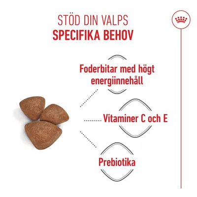 Royal Canin Mini Starter Mother & Babydog