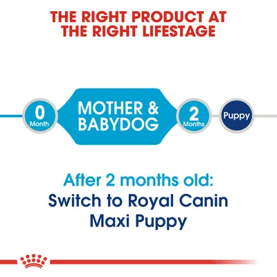 Text: THE RIGHT PRODUCT AT THE RIGHT LIFESTAGE. 0 Month MOTHER & BABYDOG, 2 Months Puppy. After 2 months old: Switch to Royal Canin Maxi Puppy.