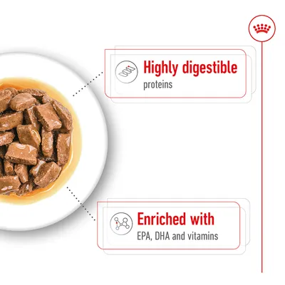 Wet food chunks in gravy with highlighted features: highly digestible proteins and enriched with EPA, DHA and vitamins.