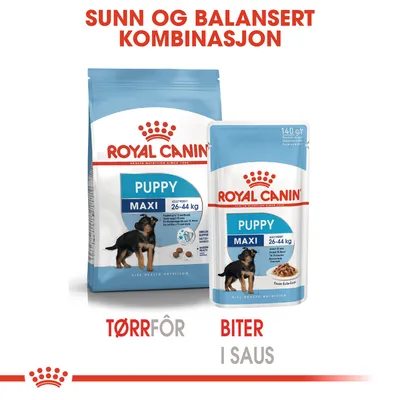 Royal Canin Maxi Puppy i saus
