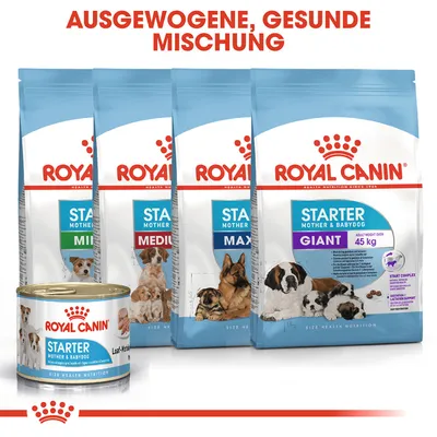 Royal Canin Starter Mother & Babydog suha i mokra hrana, pakiranja za Mini, Medium, Maxi i Giant pse. Tekst na njemačkom: Ausgewogene, gesunde Mischung.