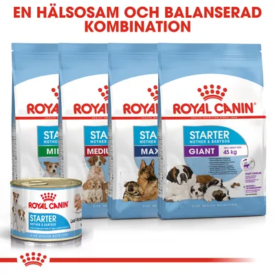 Royal Canin Starter Mother & Babydog torr- och våtfoder för hund, varianter: Mini, Medium, Maxi, Giant över 45 kg. Text: En hälsosam och balanserad kombination.