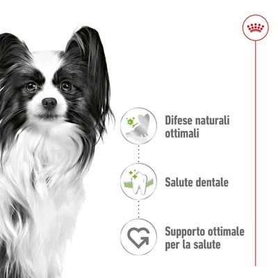 Cane bianco e nero con testo: Difese naturali ottimali, Salute dentale, Supporto ottimale per la salute. Simboli illustrano ciascun beneficio.