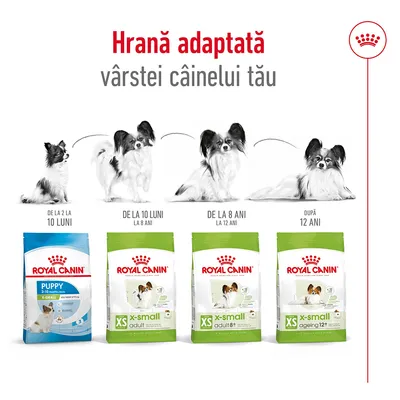 Royal Canin Puppy 2–10 luni, X-Small Adult, X-Small Adult 8+, X-Small Ageing 12+. Hrana adaptată vârstei câinelui: de la 2 luni la peste 12 ani. Imagine cu patru stadii de creștere.