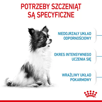 Potrzeby szczeniąt są specyficzne: niedojrzały układ odpornościowy, okres intensywnego uczenia się, wrażliwy układ pokarmowy. Royal Canin. Potrzeby szczeniąt są specyficzne: niedojrzały układ odpornościowy, okres intensywnego uczenia się, wrażliwy układ pokarmowy. Royal Canin.
