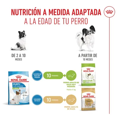 Royal Canin X-Small Puppy