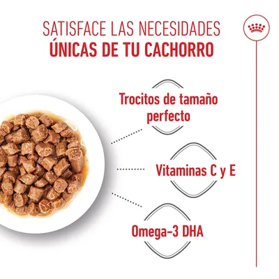 Royal Canin X-Small Puppy en salsa Royal Canin X-Small Puppy en salsa