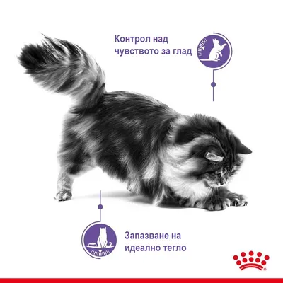 Контрол над чувството за глад. Запазване на идеално тегло.