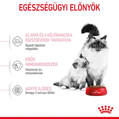 EGÉSZSÉGÜGYI ELŐNYÖK: az anya és a kölyökmacska egészségének támogatása, erős immunrendszer, agyfejlődés. Royal Canin tál két macskával.
