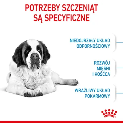 Potrzeby szczeniąt są specyficzne: niedojrzały układ odpornościowy, rozwój mięśni i kośćca, wrażliwy układ pokarmowy. Royal Canin.
